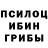 Галлюциногенные грибы мухоморы Shevikina
