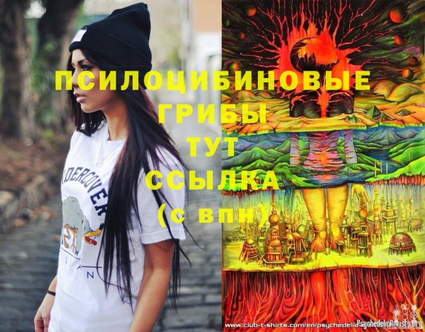 прущий лед Бронницы