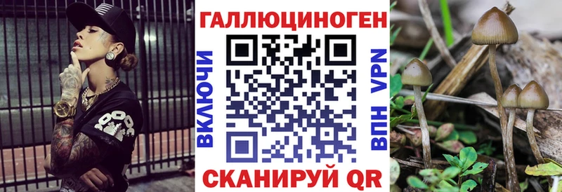 маркетплейс как зайти Ессентукская Галлюциногенные грибы GOLDEN TEACHER